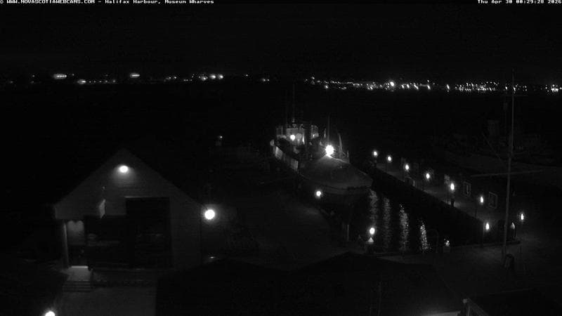 Museum Wharves