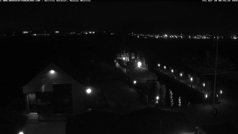 Museum Wharves