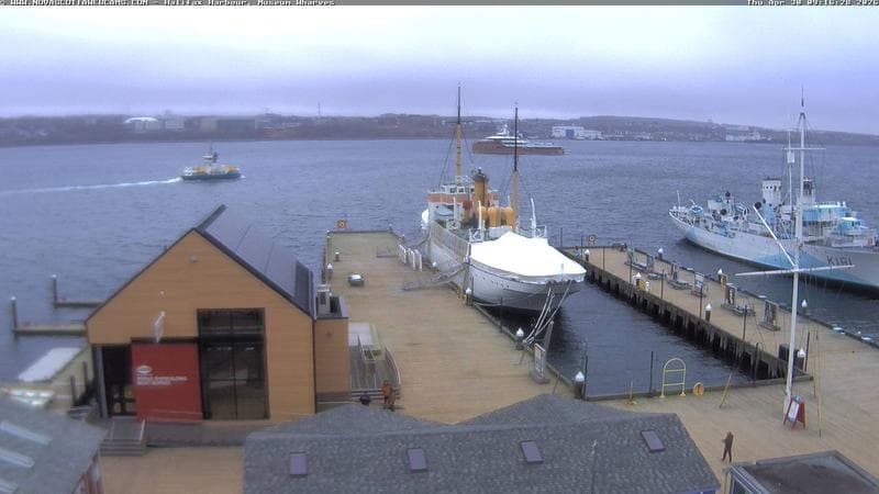 Museum Wharves