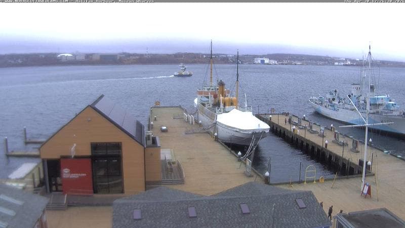 Museum Wharves