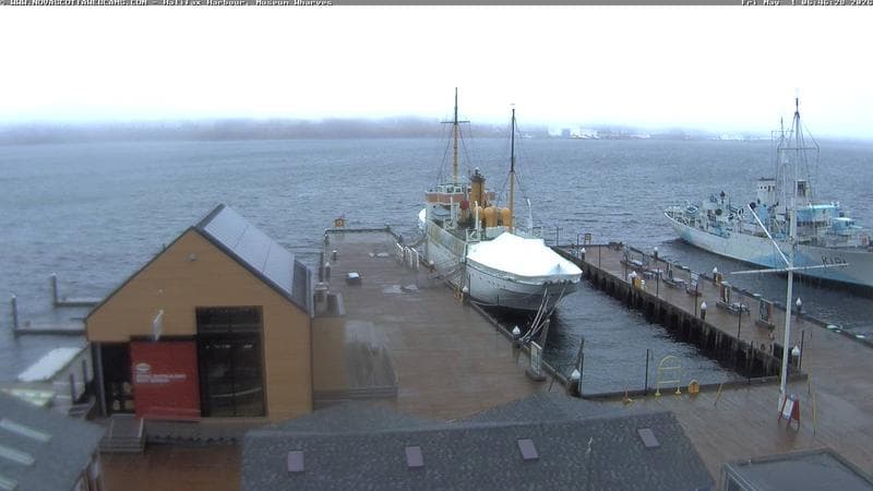 Museum Wharves