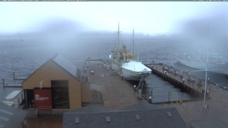 Museum Wharves