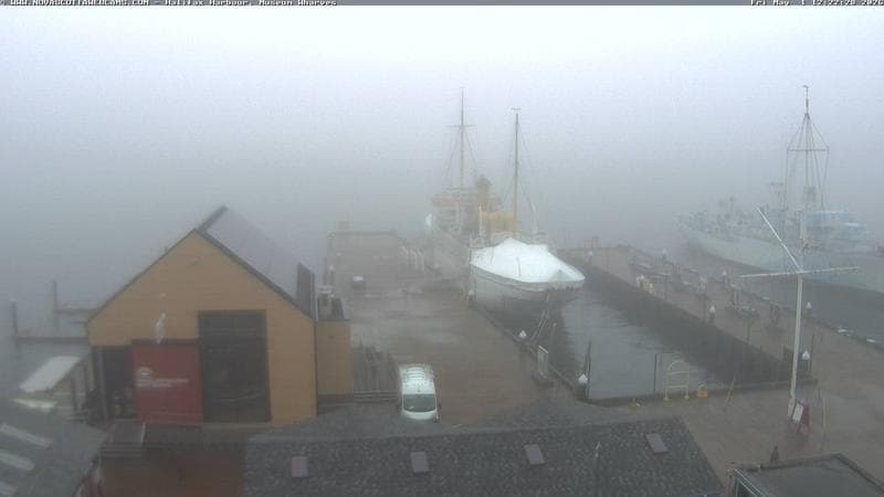Museum Wharves