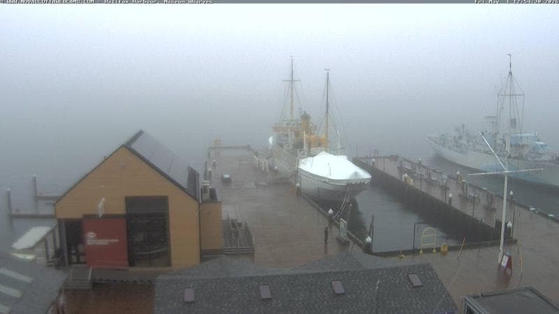 Museum Wharves