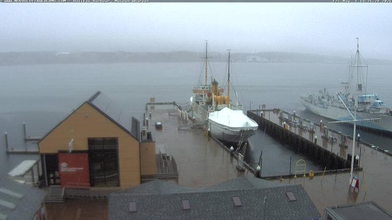 Museum Wharves