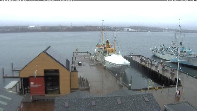 Museum Wharves