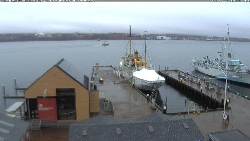 Museum Wharves