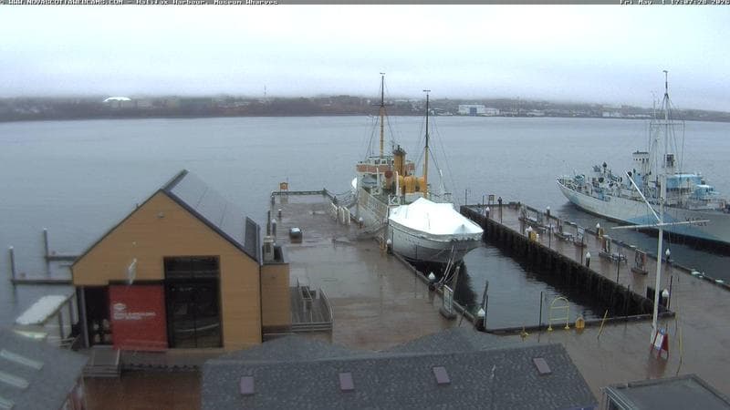 Museum Wharves