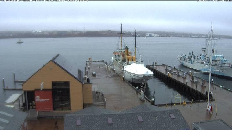Museum Wharves