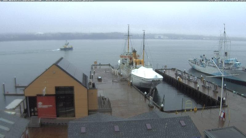 Museum Wharves