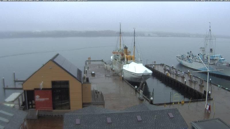 Museum Wharves