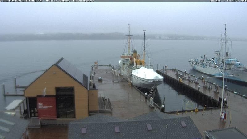 Museum Wharves