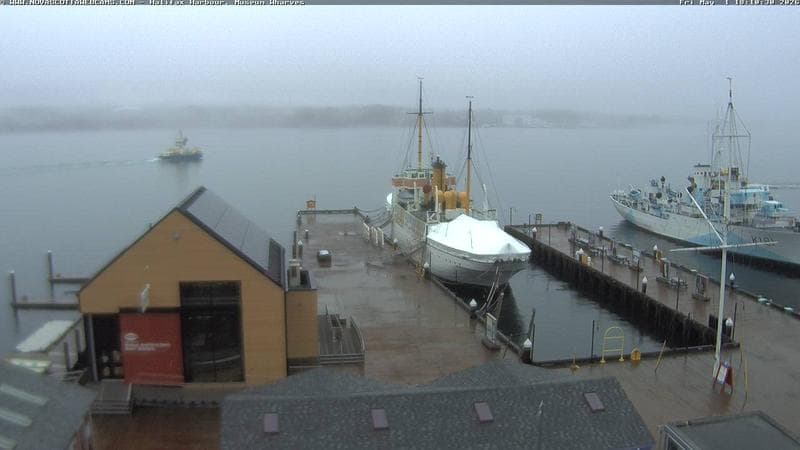 Museum Wharves