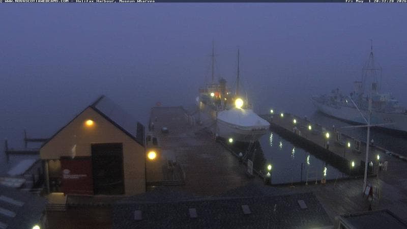 Museum Wharves