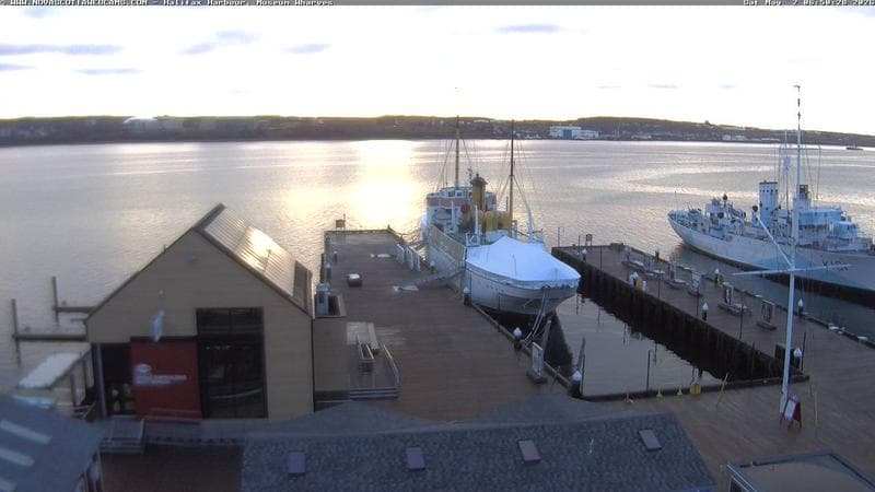 Museum Wharves