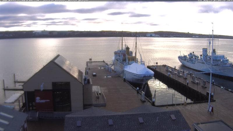 Museum Wharves