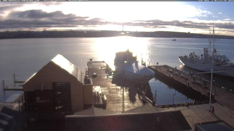 Museum Wharves