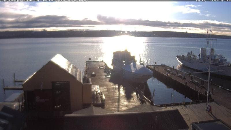 Museum Wharves