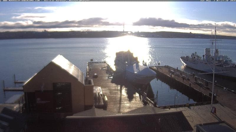 Museum Wharves