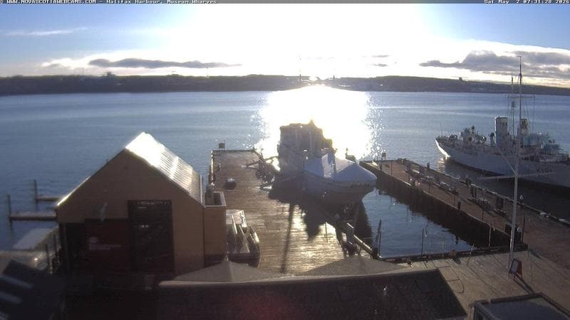 Museum Wharves