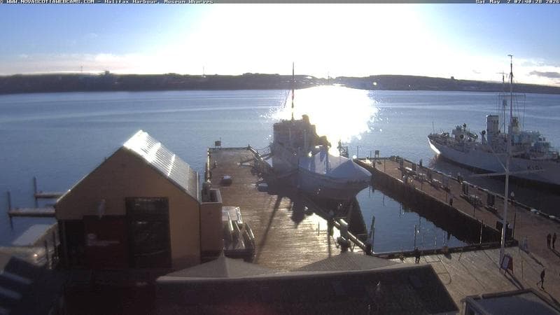 Museum Wharves