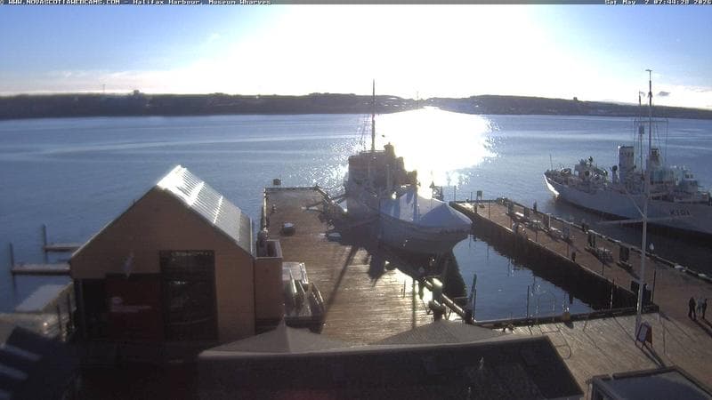 Museum Wharves