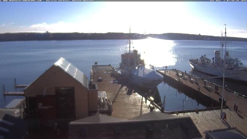 Museum Wharves