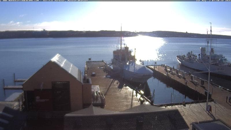 Museum Wharves
