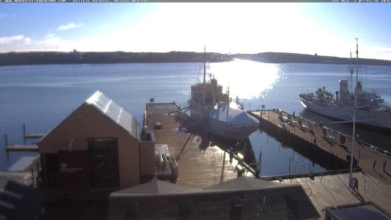 Museum Wharves