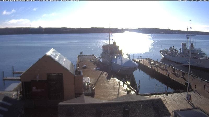 Museum Wharves