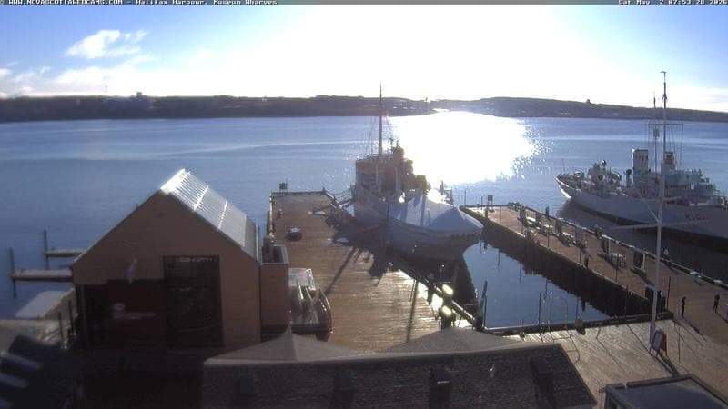 Museum Wharves