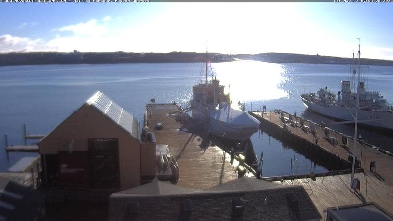 Museum Wharves