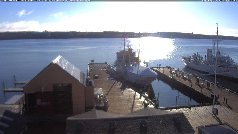 Museum Wharves