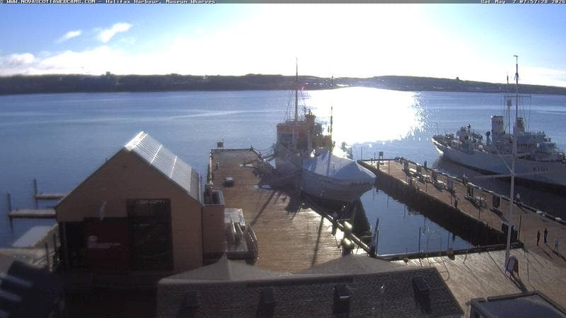 Museum Wharves