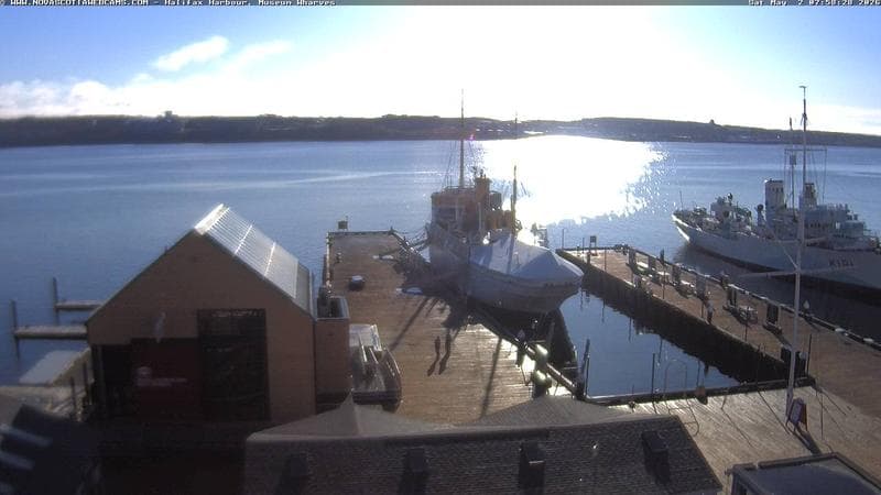 Museum Wharves