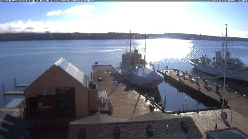 Museum Wharves