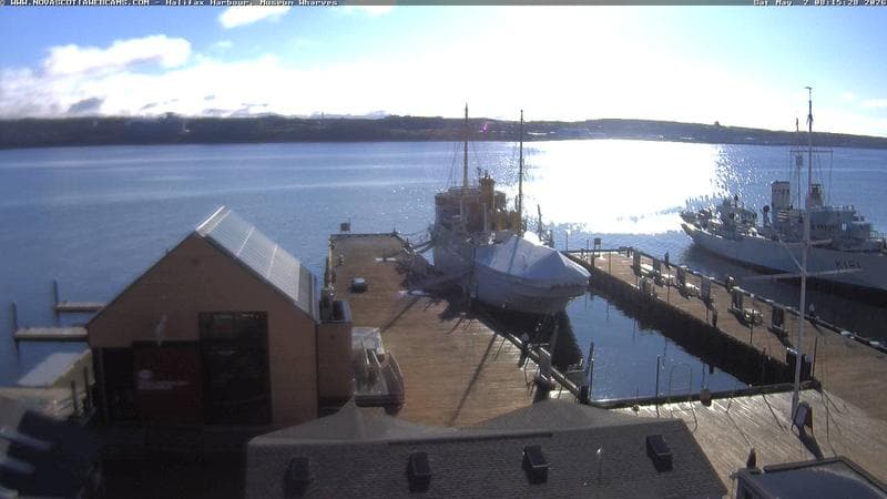 Museum Wharves