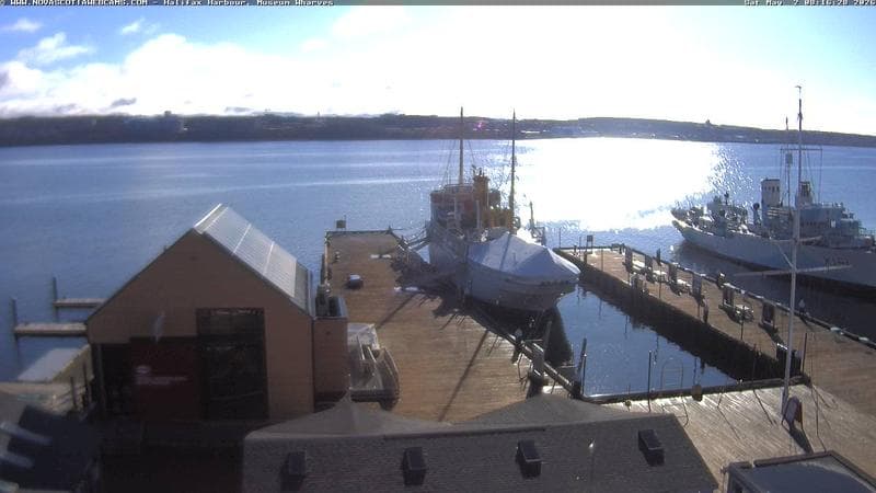 Museum Wharves