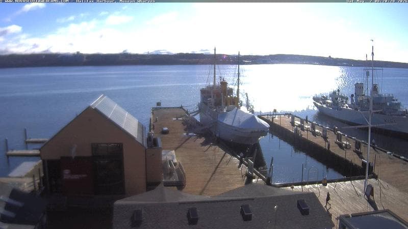 Museum Wharves