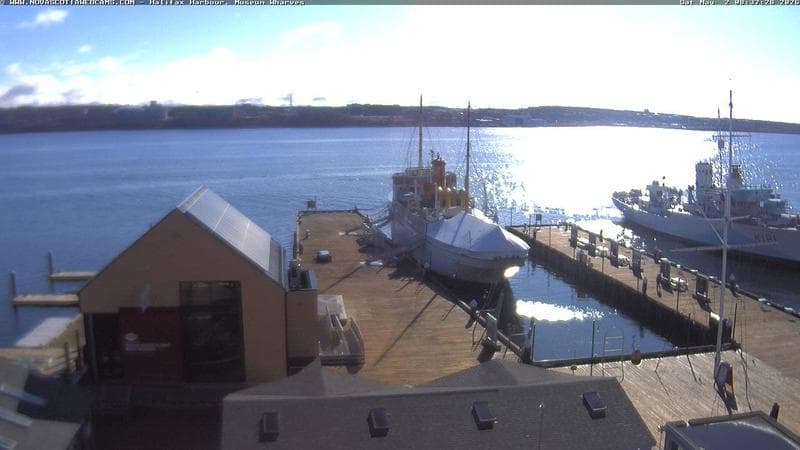 Museum Wharves