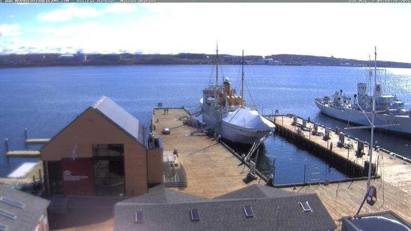 Museum Wharves