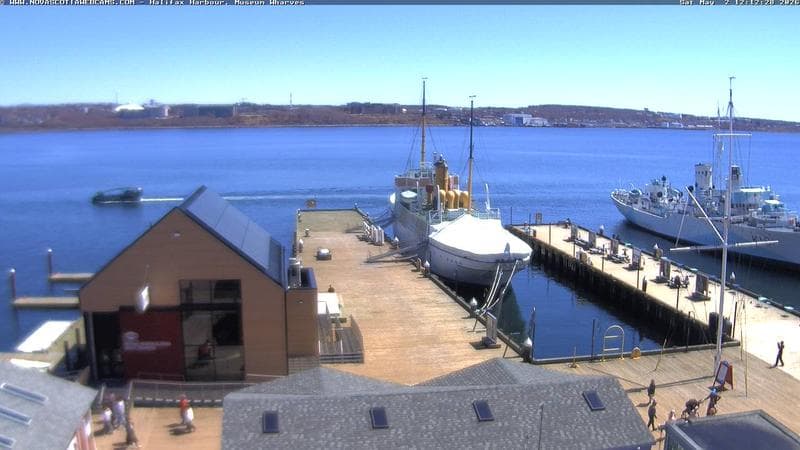 Museum Wharves
