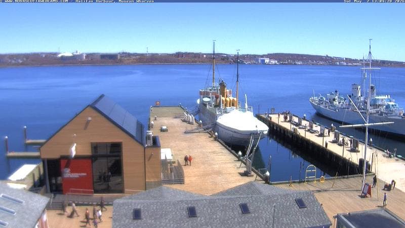 Museum Wharves