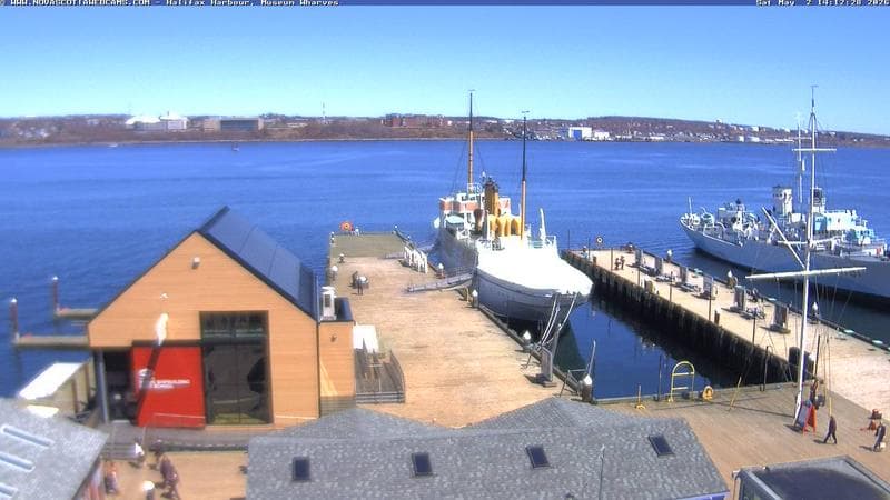 Museum Wharves
