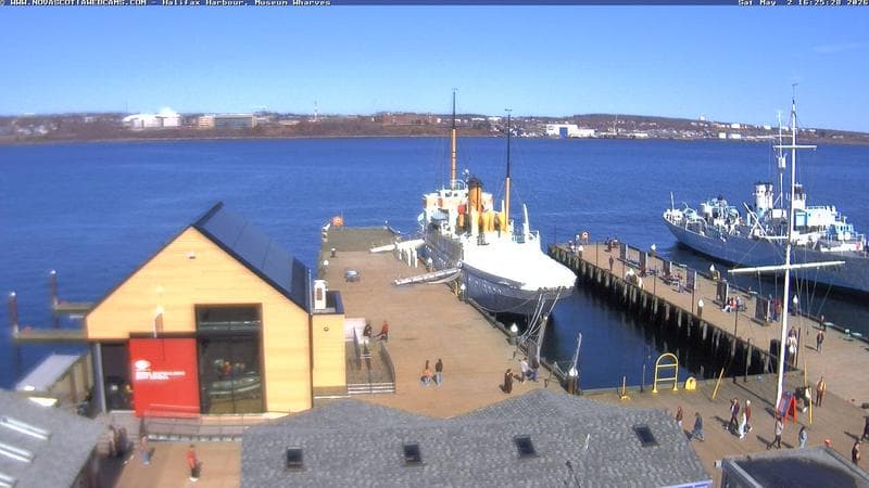 Museum Wharves