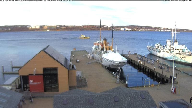 Museum Wharves