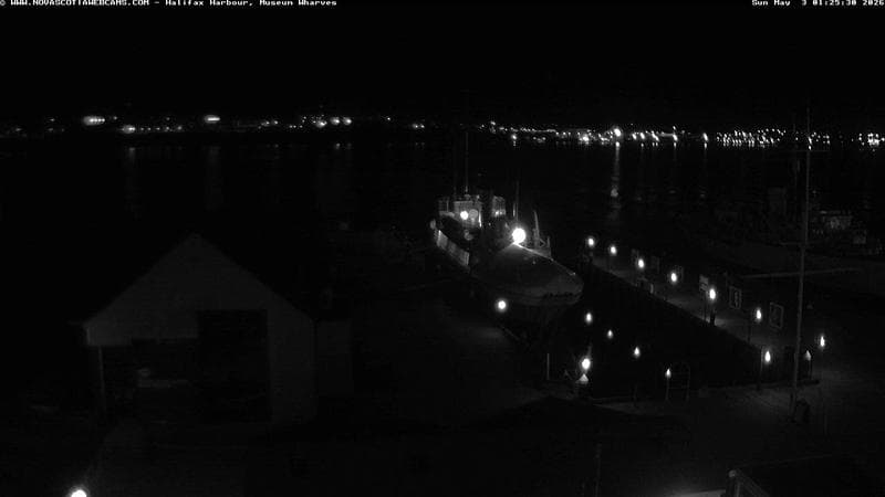 Museum Wharves