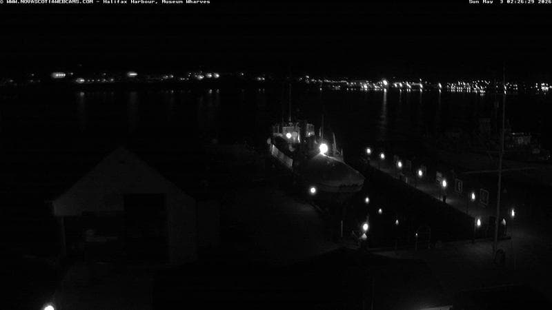 Museum Wharves