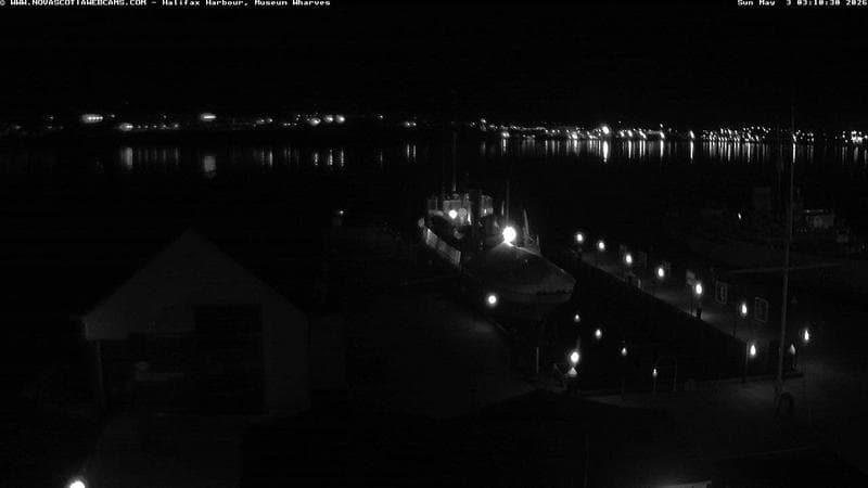 Museum Wharves