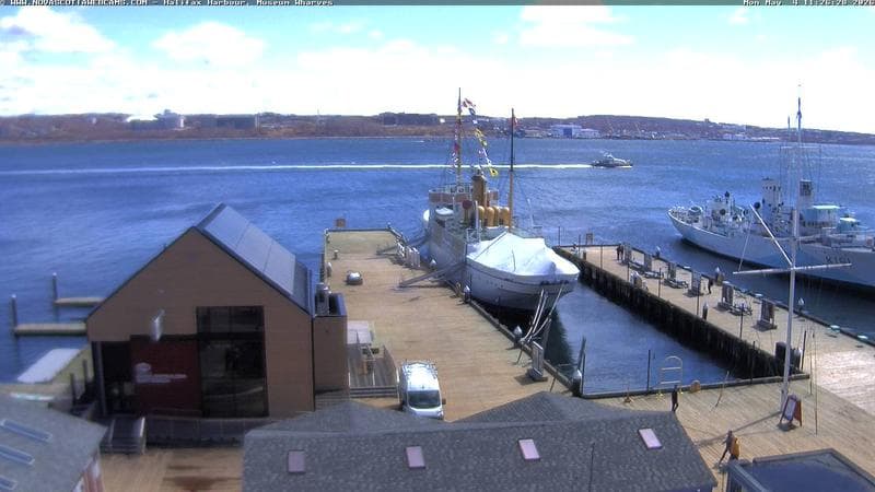 Museum Wharves